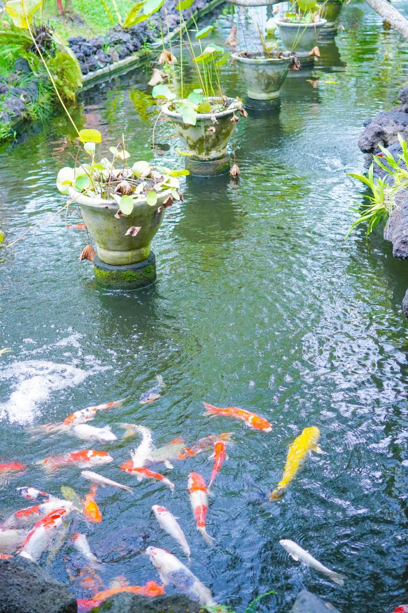 Bije Suite Villa Ubud 4*